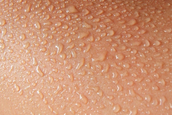 Sweating Robot Beats the Heat