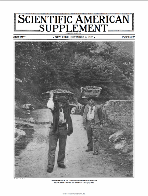 SA Supplements Vol 84 Issue 2183supp
