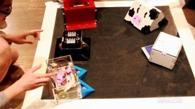 Battling Bots Get Pushy at the 10th Annual Sumo Robot Match