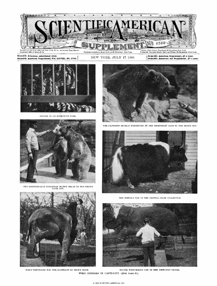 SA Supplements Vol 68 Issue 1750supp