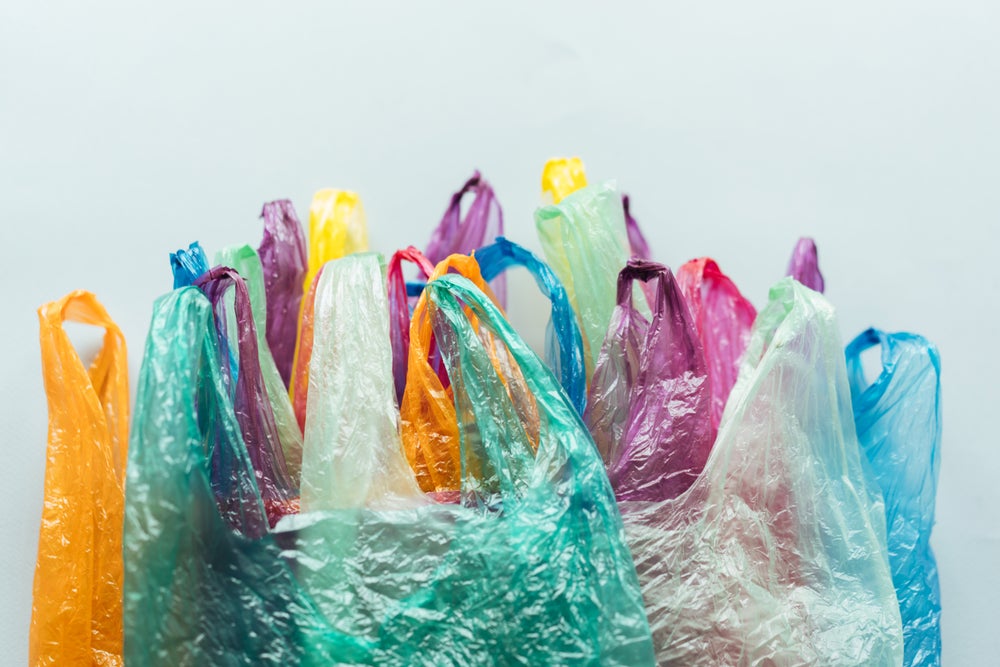 The Human Body Is Bags, Bags and More Bags | Scientific American