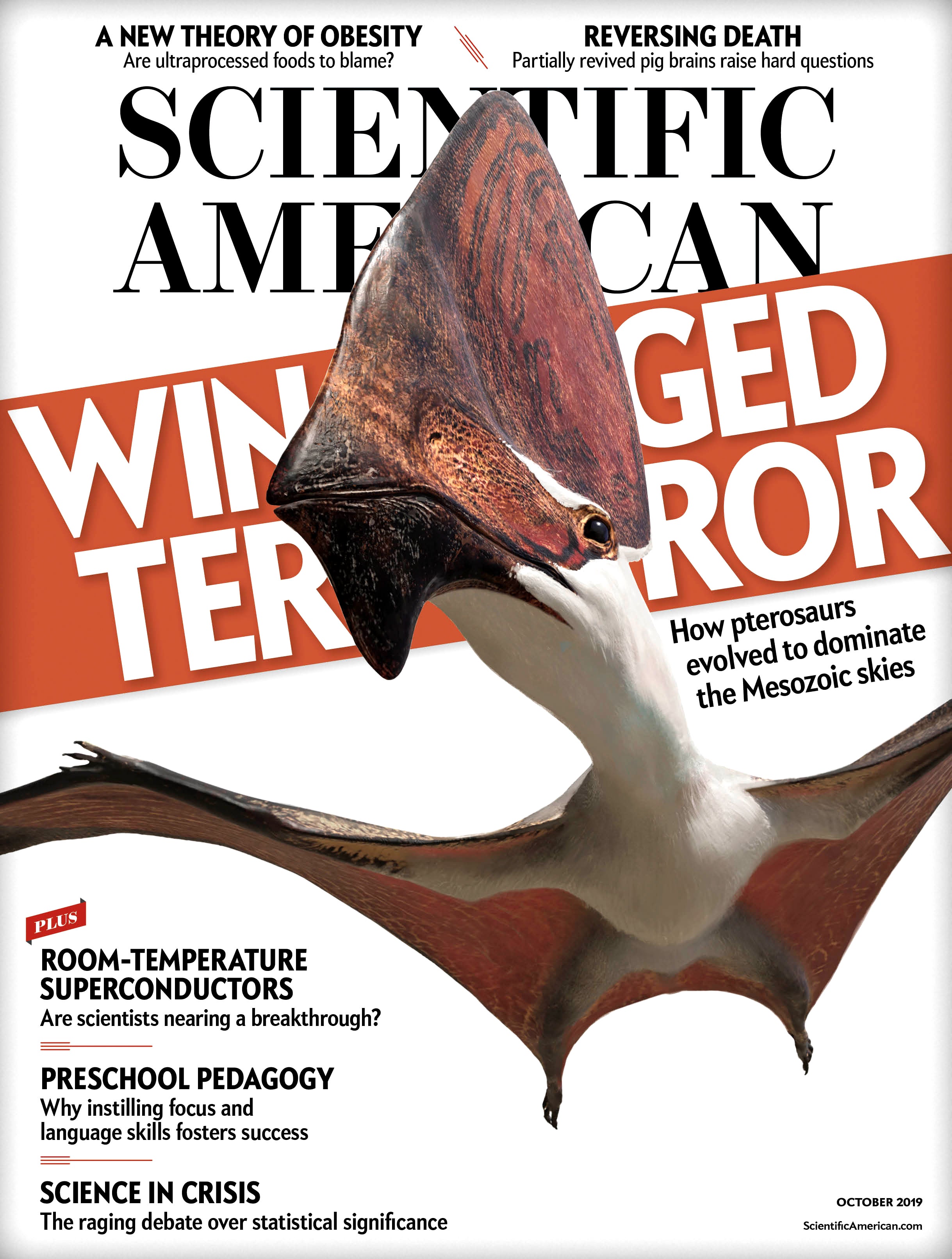 Scientific American Volume 321, Issue 4