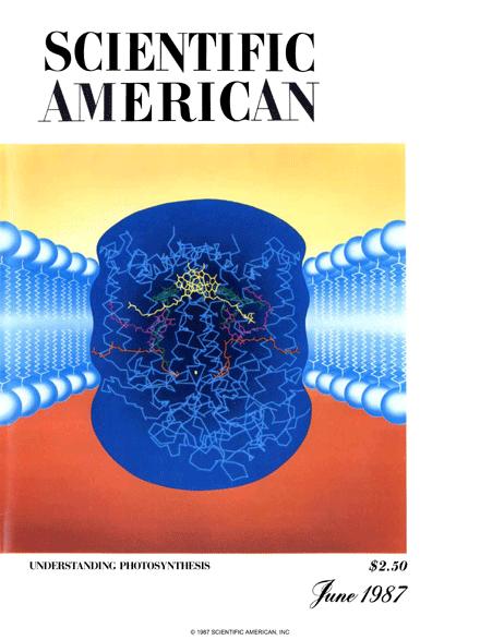 Scientific American Magazine Vol 256 Issue 6