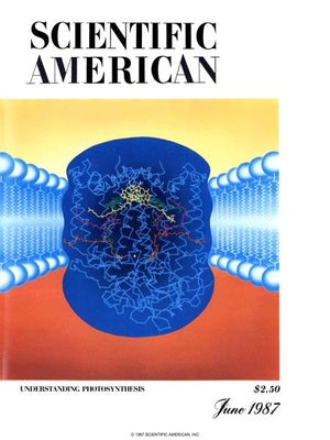 Scientific American Magazine Vol 256 Issue 6