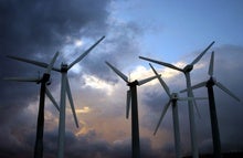 Wind Energy Could Get Safer for Bats with New Research