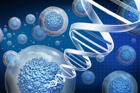 A conceptual image of cells and a DNA helix.