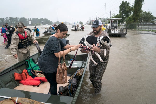 Volunteers in boats rescue people and their pets on a flooded highway.