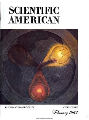 Scientific American Magazine Vol 208 Issue 2