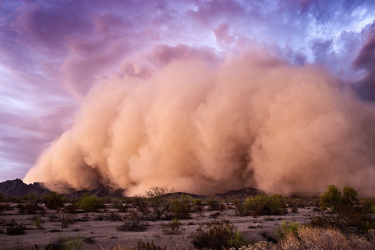 The Man Who Rages Against the Storm That is Approaching, The Man Who Rages  Against The Storm