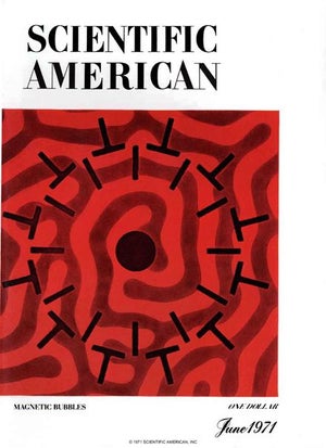 Scientific American Magazine Vol 224 Issue 6
