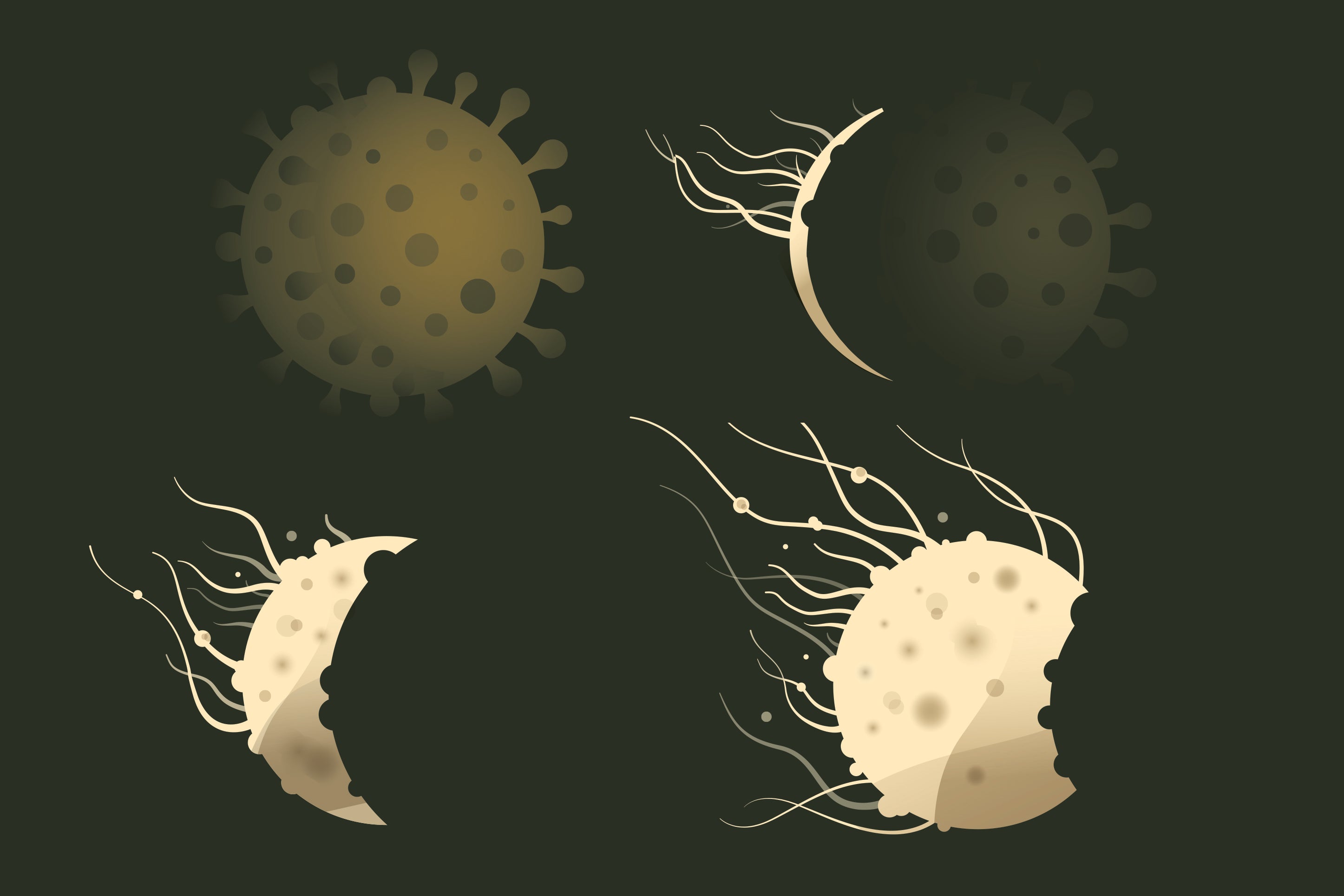 Image of cancer and covid cells