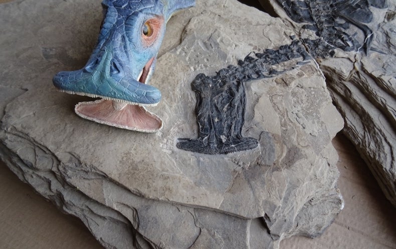 dino with hammerhead