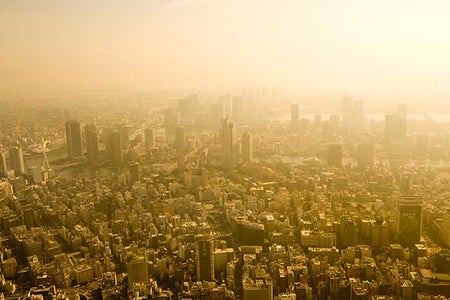 Scientific American Logo