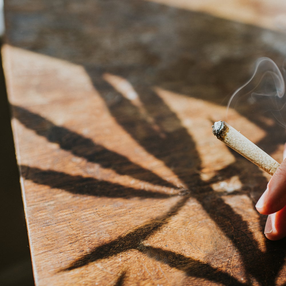 Heavy Cannabis Use Linked to Schizophrenia, Especially among Young Men |  Scientific American