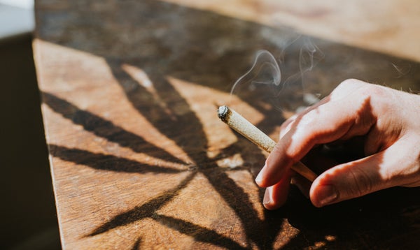 Hand holding a spliff with cannabis plant casting a shadow onto wooden table