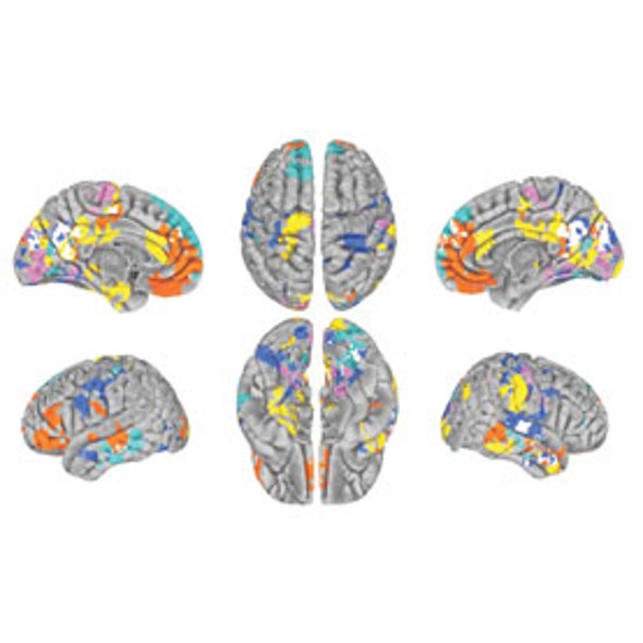 Personality Traits Correlate with Brain Activity