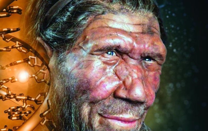 Neandertal Face Shape Was All Over The Air - Scientific American