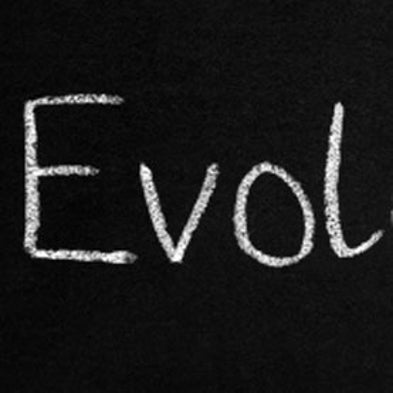 timeline evolution in the u s public education system updated
