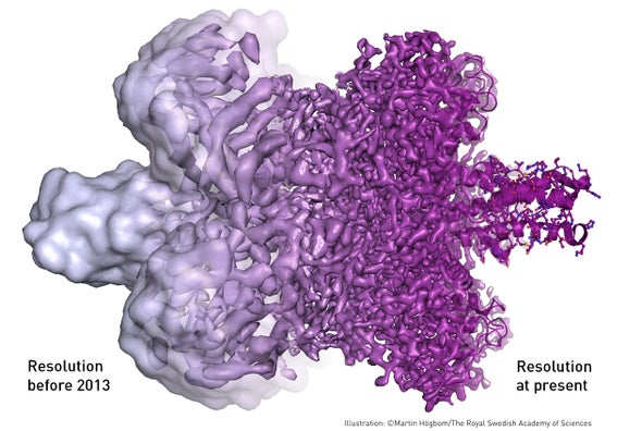 Nobel in Chemistry for Seeing Biomolecules in Action