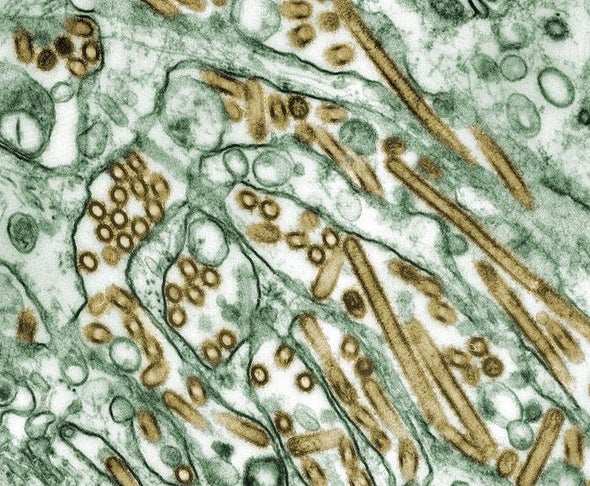 CDC Botched Handling of Deadly Flu Virus