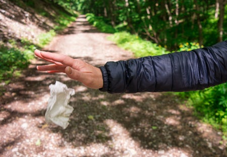 Scientific American Logo
