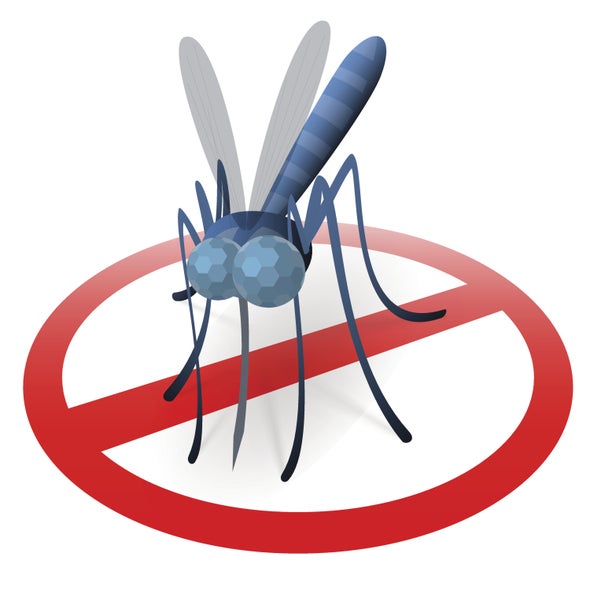 Mosquitoes Carry Yet Another Tropical Disease toward the U.S.