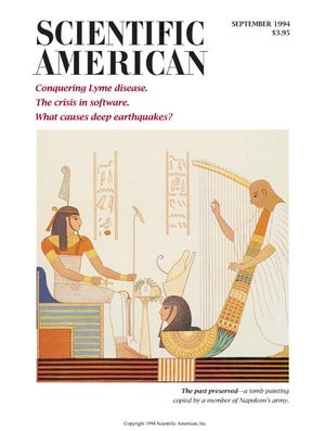 Scientific American Magazine Vol 271 Issue 3