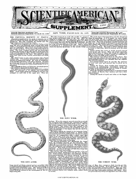SA Supplements Vol 43 Issue 1102supp