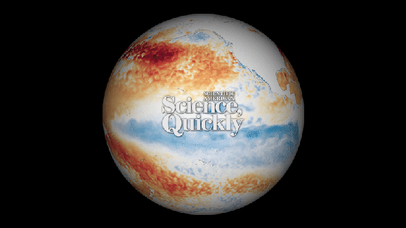 El Niño is Back. What Does That Mean For You?