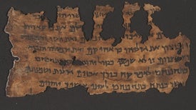Ancient DNA Yields New Clues to Dead Sea Scrolls