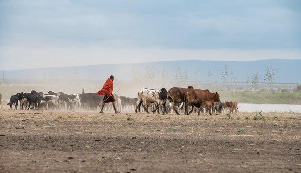 More Grazing Leads to Fewer Fires in the Serengeti