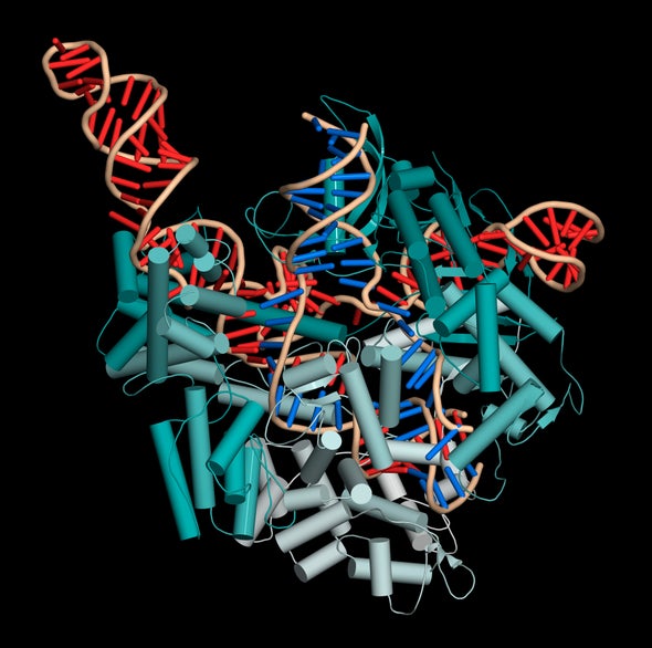 CRISPR Heavyweights Battle in U.S. Patent Court