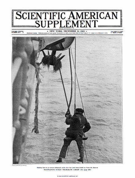 SA Supplements Vol 86 Issue 2242supp