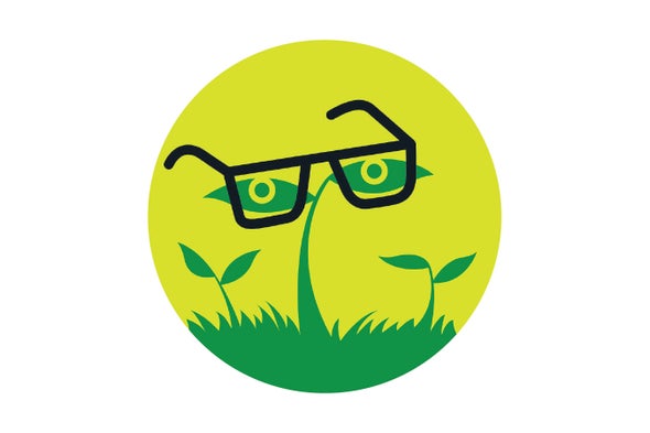 Veggies with Vision: Do Plants See the World around Them?