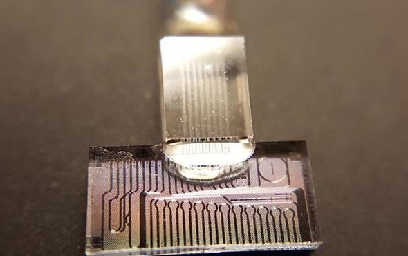 Rainbow Photons Pack More Computing Power