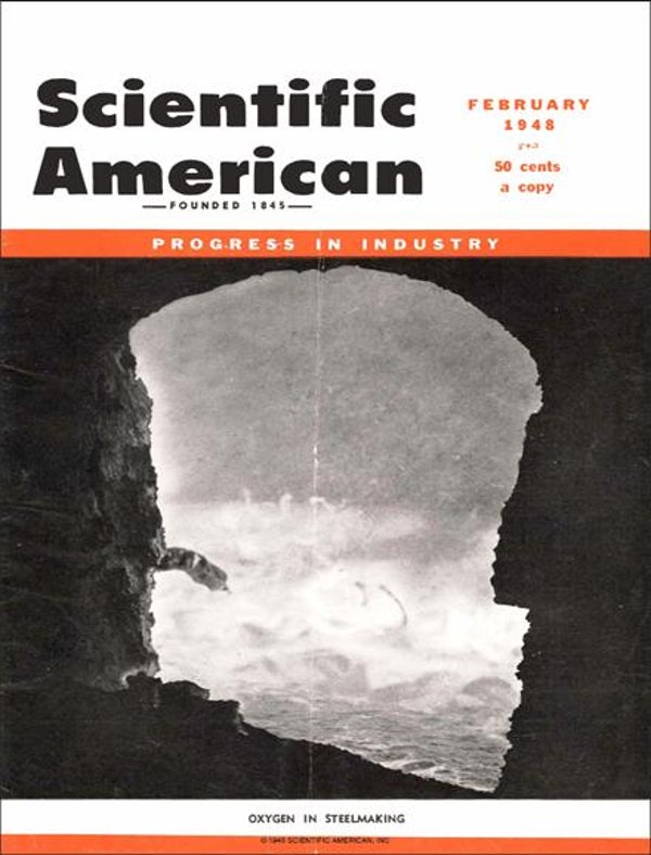 Scientific American Magazine Vol 178 Issue 2