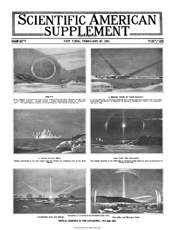 SA Supplements Vol 77 Issue 1991supp