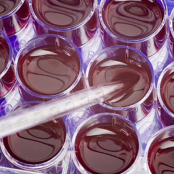 What Obama's Support for Stem Cell Research Means for California