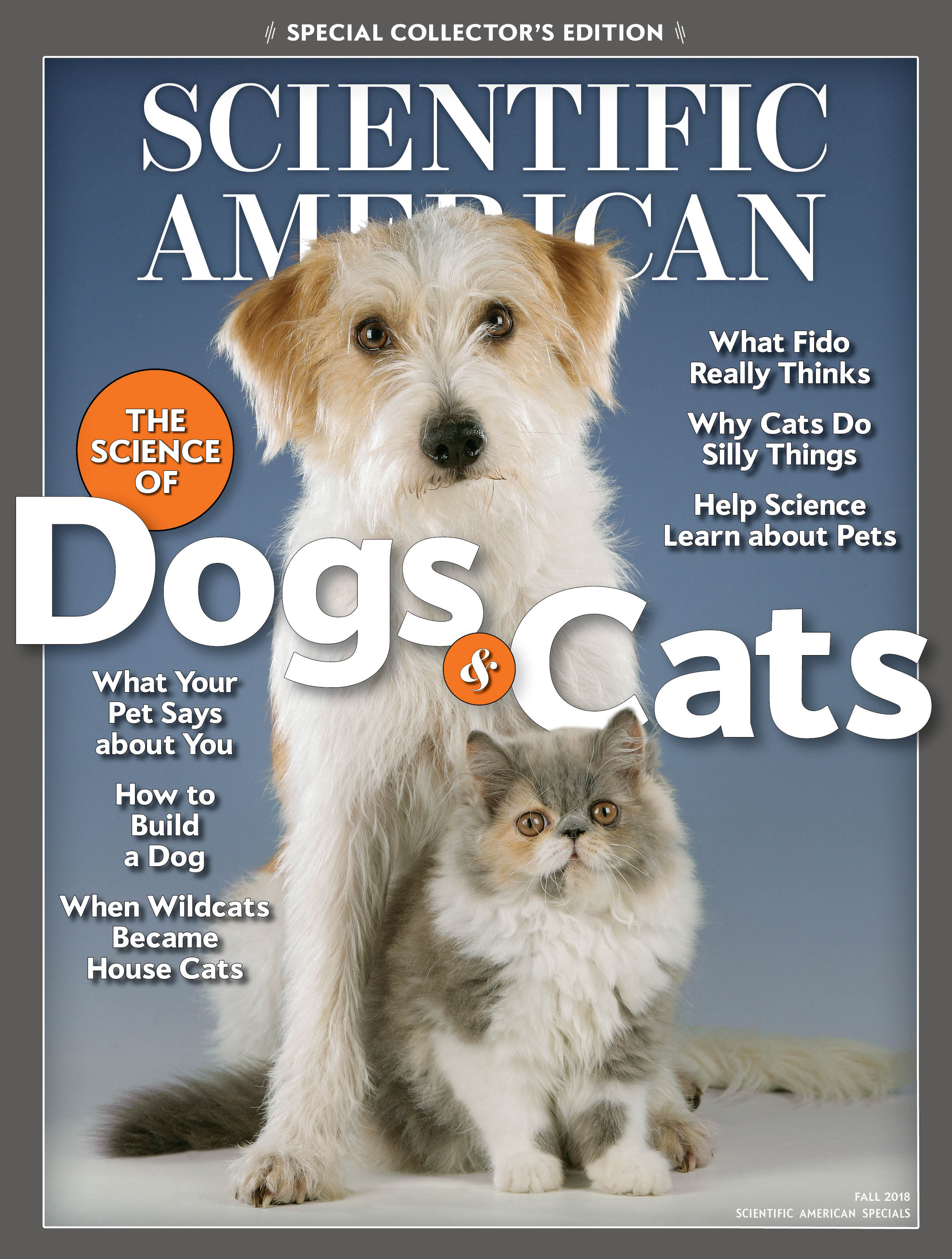 Why do cats purr?  Scientific American