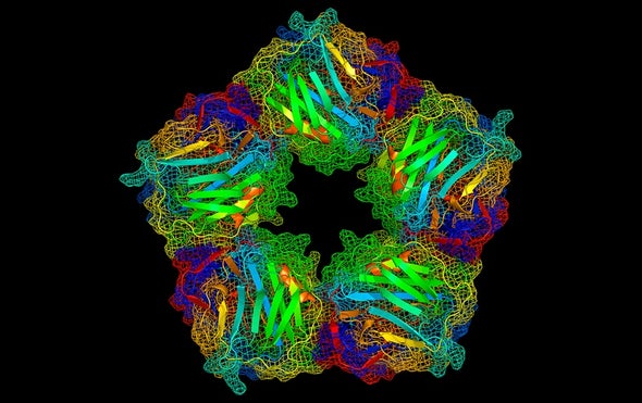 Tantalizing Clues Point to Inflammation's Role in an Array of Diseases