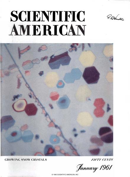 Scientific American Magazine Vol 204 Issue 1