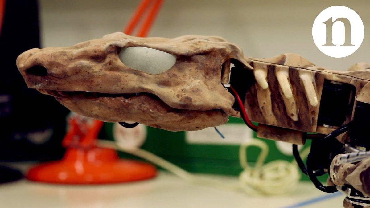 Bringing a Fossil to Life: Reverse Engineering Locomotion | Scientific ...