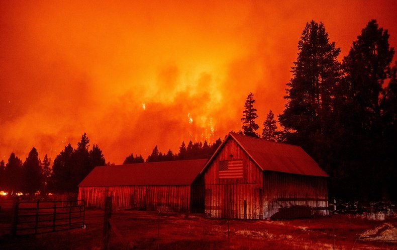 The Worst Wildfires Are Started by People. Here's How - Vimarsana News