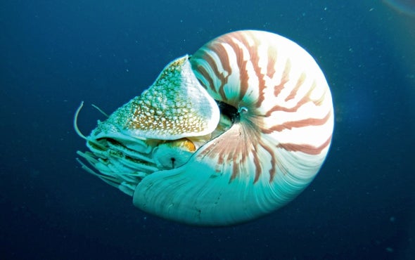 Big Pacific: Photos from One of Earth's Great Oceans - Scientific American