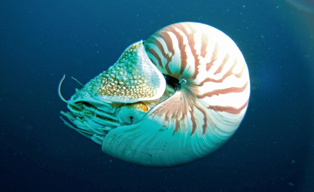 Big Pacific: Photos from One of Earth's Great Oceans | Scientific American