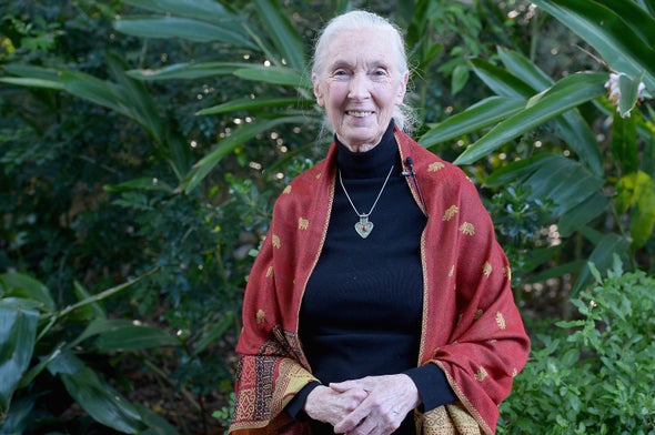 Jane Goodall: We Can Learn from This Pandemic