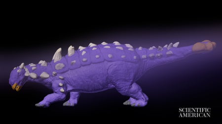 A computer-generated view of the ankylosaur Euoplocephalus