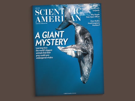 Cover of Scientific American magazine showing a diving whale and the headline "A Giant Mystery"