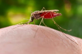 Malaria Treatments Are Not Working Well