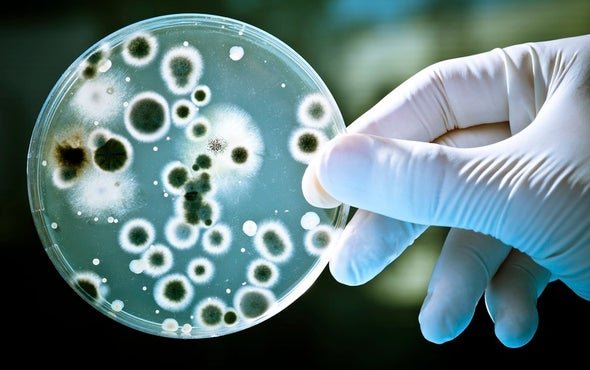 Microbes Share Your Morning Metro Commute